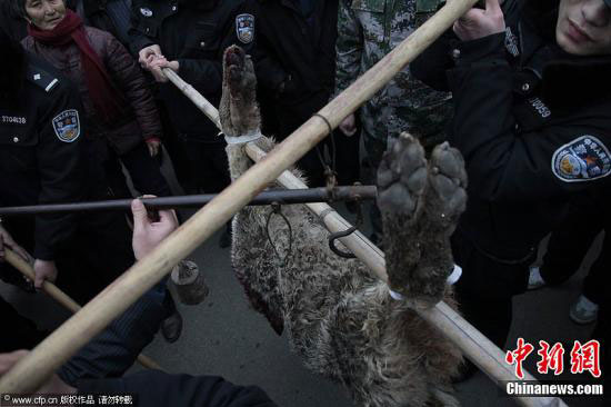 　　3月19日，山東滕州市公安局接到群眾報警，柴胡店鎮一男孩在上學的路上被一疑似狼的灰色動物咬傷脖子、耳朵及大腿，一婦女被該動物咬死/春暖花開攝 圖片來源：CFP視覺中國
