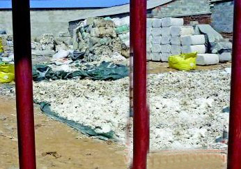 揭再生棉流通鏈:小作坊破布舊絮制棉運(yùn)進(jìn)紡織廠(chǎng)