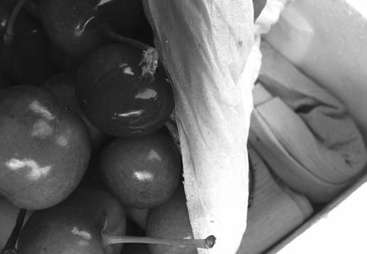 包裝箱里塞滿廢紙。