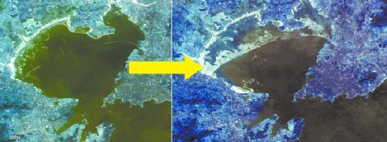 膠州灣150年縮小41% 一結冰就凍走4.7億元