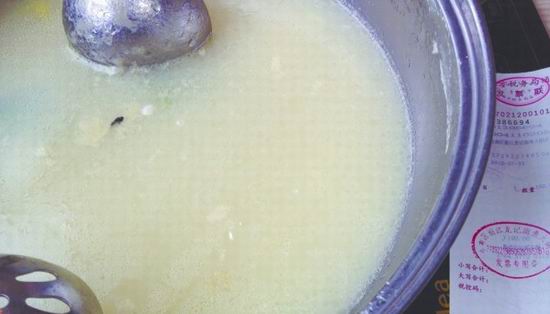 龍記斑魚莊火鍋吃出蒼蠅 龍記斑魚莊火鍋吃出蒼蠅