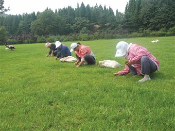 青島大多企業不發高溫補貼