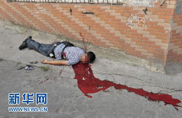 警方緝捕周克華實錄:辦案民警披露抓捕細節