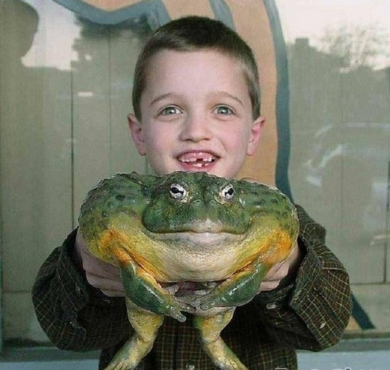 盤點(diǎn)各地罕見巨型“怪獸”