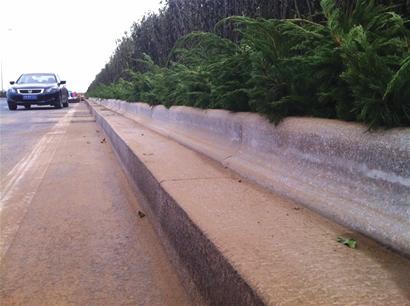 治理環灣大道違規調頭出新招:綠化帶邊沿石加高