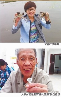 陽澄湖大閘蟹開湖:吐沙吐一天 蟹商幾小時賣數(shù)千斤