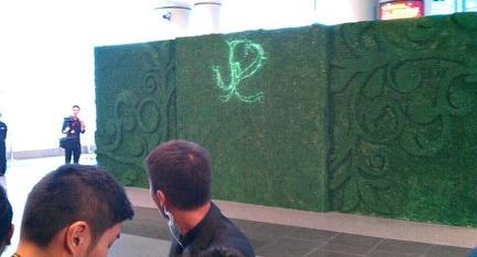 郭晶晶霍啟剛婚禮現場直播