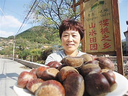 嶗山大貢栗現身農家宴