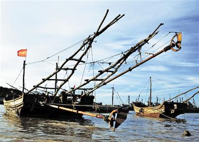 青島難尋海捕海鮮 海捕蟹比養殖蟹貴1倍1只就夠油費