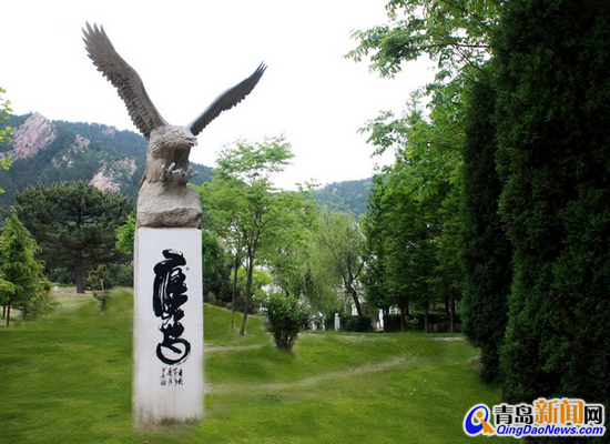 探訪青島唯一葡萄酒名莊 坐擁山海風光旖旎