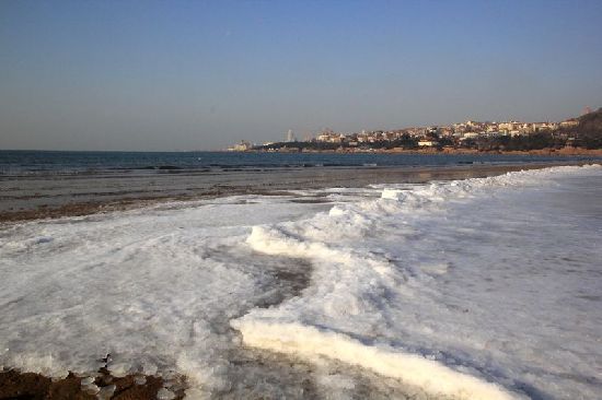 前海一線海水結冰 極寒天難擋冬游健將