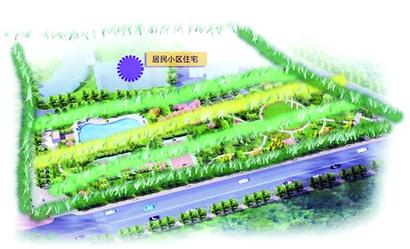 森林青島繪出全新框架