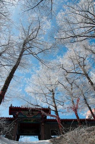 嶗山景區派發年終紅利 金牌導游獲獎轎車