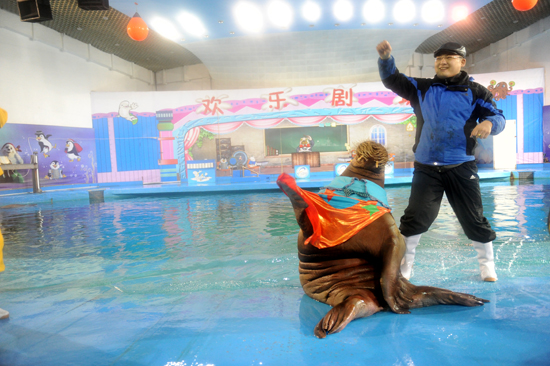 超萌海象領舞極地style 蛇年新春爆笑上演