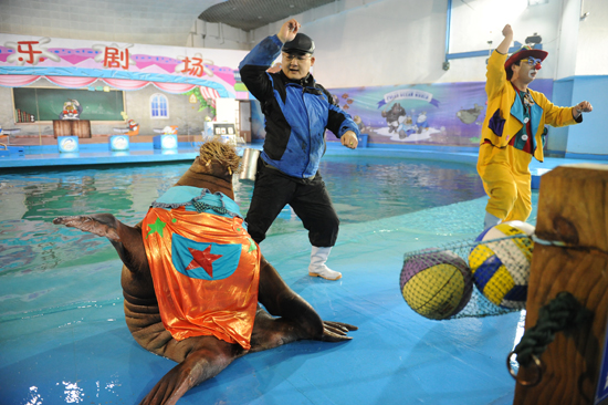 超萌海象領舞極地style 蛇年新春爆笑上演