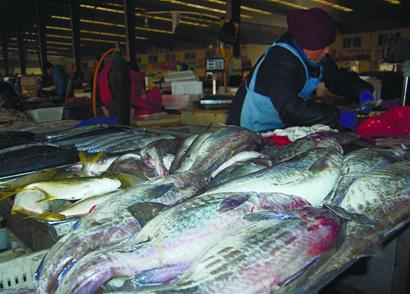 鮮海貨將大漲價 漁船收回最后一網