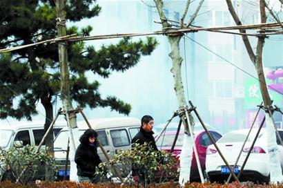 市區昨查處40余起違規燃放鞭炮行為 今年爆竹燃放時間僅剩正月十五一天