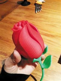 神奇3D打印機(jī)有求必應(yīng) 能打印夢中情人