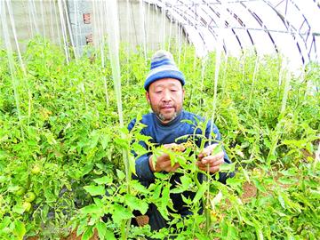 那些年，我們那樣學雷鋒