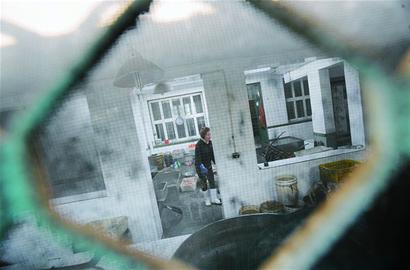 豬頭豬腦豬耳朵黑心黑肺黑作坊 豬頭豬腦豬耳朵黑心黑肺黑作坊