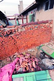 豬頭豬腦豬耳朵黑心黑肺黑作坊 豬頭豬腦豬耳朵黑心黑肺黑作坊