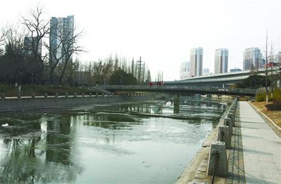 整治8條河 再現水清魚歡