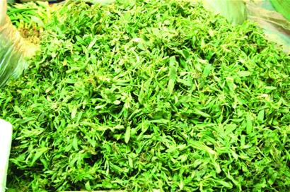 開春細數青島野菜