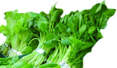 捆菜膠帶大部分是工業膠帶