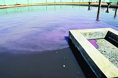 青島多企業直排污水毒氣 暗紅廢水去向神秘