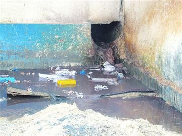 執法人員突查揪出33家毒企